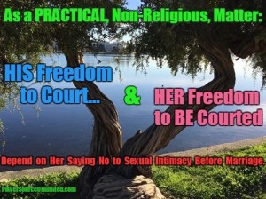 Meme about Saying No to Sex Before Marriage 2-17-2016